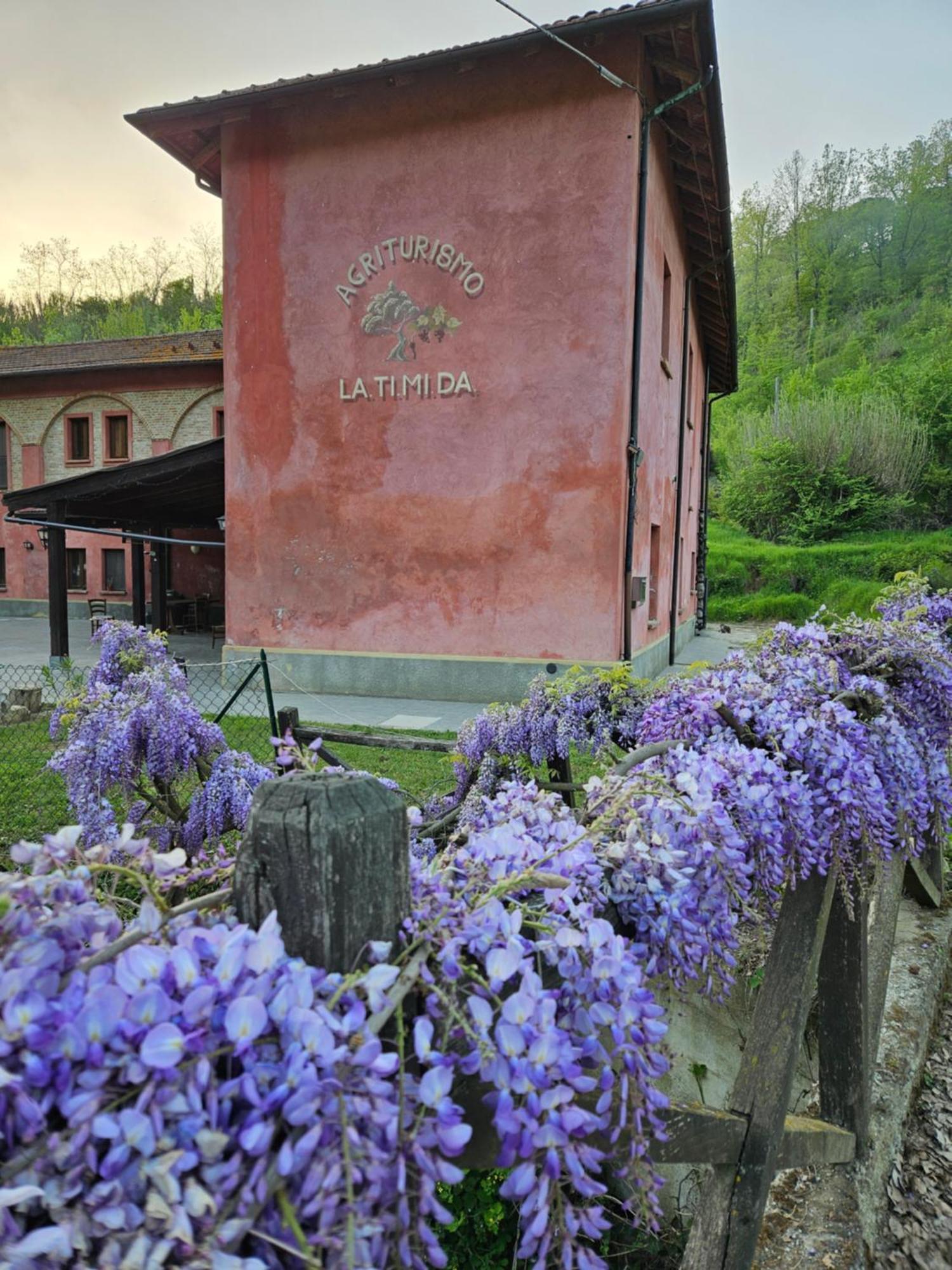 Agriturismo La.Ti.Mi.Da. Villa Cassine Exterior foto