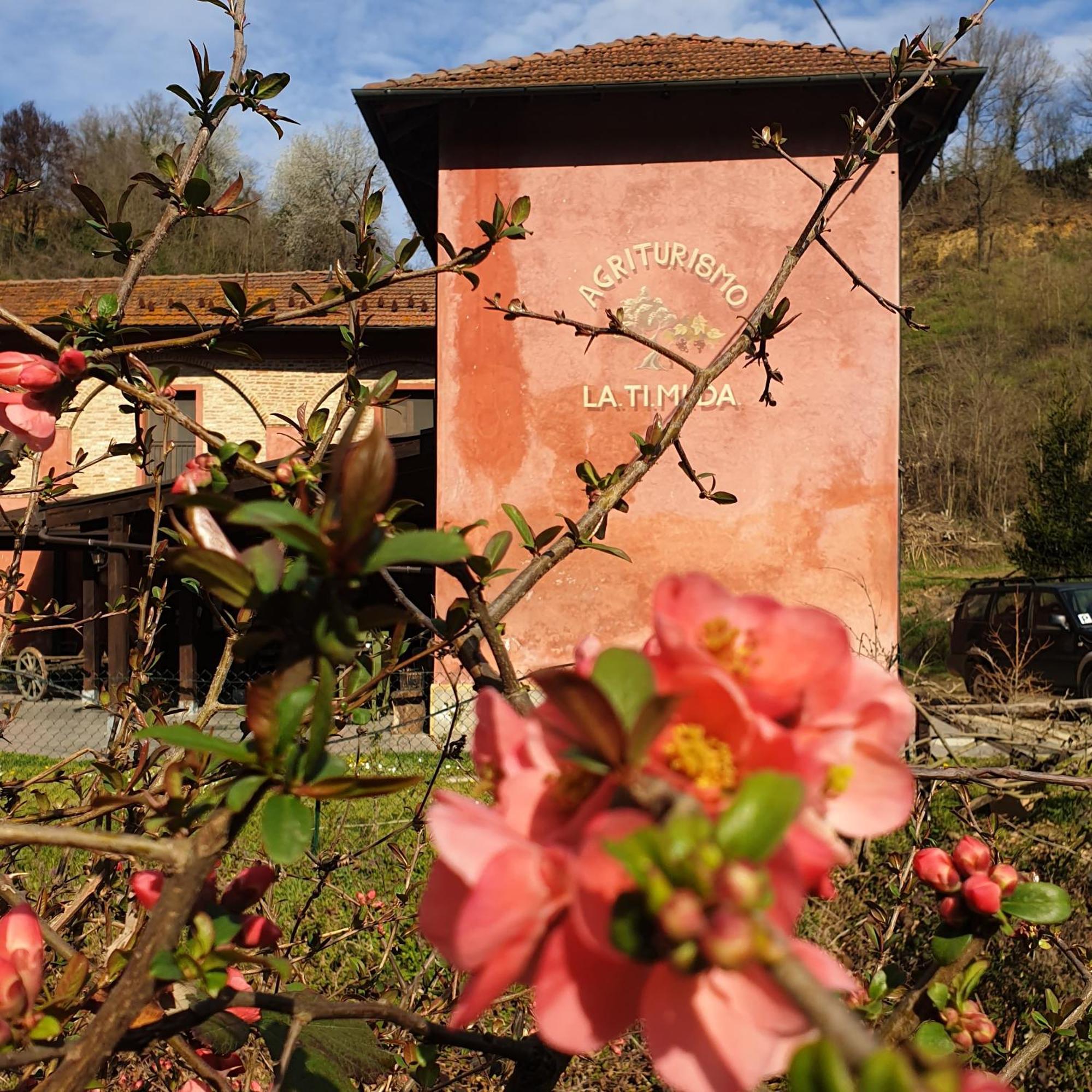 Agriturismo La.Ti.Mi.Da. Villa Cassine Exterior foto