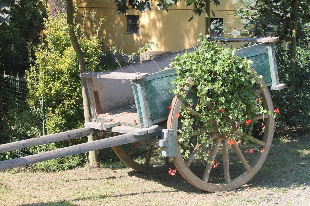 Agriturismo La.Ti.Mi.Da. Villa Cassine Exterior foto